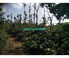 20 Acre Farmland with house for sale Near Chikmagalur