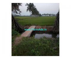 1 Acre Agriculture Land For Sale near Nellore,Krishnapatnam port
