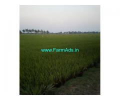1 Acre Agriculture Land For Sale near Nellore,Krishnapatnam port