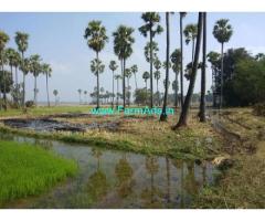 2.01 Acres Farm Land for Sale near Warangal,Warangal Khammam Highway