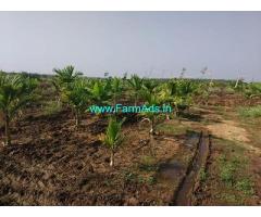10 Acre Farm Land for Sale Near Hiriyur