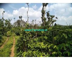 12 Acre Farm Land for Sale Near Chikmagalur