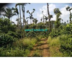 12 Acre Farm Land for Sale Near Chikmagalur