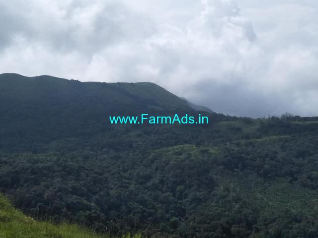 25 Acre Farm Land for Sale Near Chikmagalur