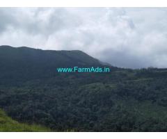 25 Acre Farm Land for Sale Near Chikmagalur