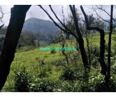 5 Acre Farmland sale near Chikmagalur