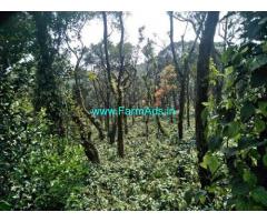 12 Acre Land for sale Near Chikmagalur