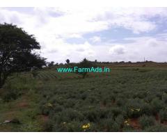 2.5 Acre Farm Land for sale Near Thally