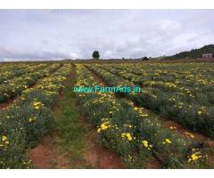 2.5 Acre Farm Land for sale Near Thally