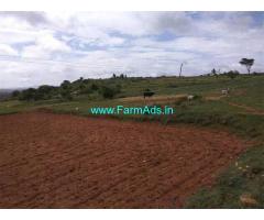33 Acres Agricultural Land for Sale Near Denkanikottai