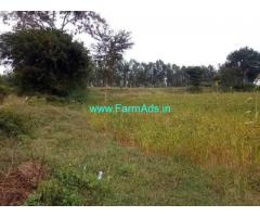 2.56 Acres Farm Land for Sale Near Thally,DenkaniKottai road
