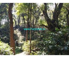 75 Acre Farm Land for Sale near Chikmagalur