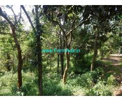 1.70 Acre Farm Land for Sale Near Cherunali,Kavundikkal