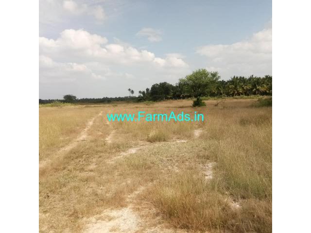2 Acres Agriculture Land for Sale near Chiknayakanhalli
