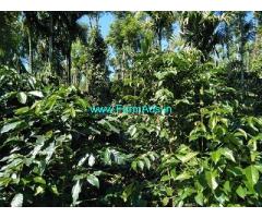 7 Acre Coffee Plantation Land for Sale Near Mudigere