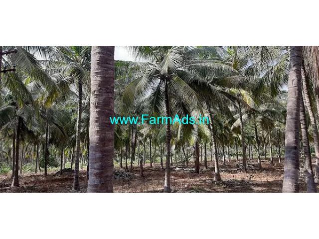 4.25 Acre Agriculture Land for Sale Near Periyapatti