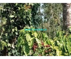 15 Acre Coffee Land for Sale Near Sakleshpur
