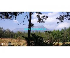 8 Acre Coffee Land for Sale Near Chikmagalur