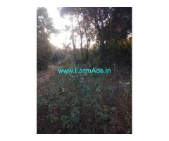 5 Acre Agriculture Land for Sale Near Chikmagalur