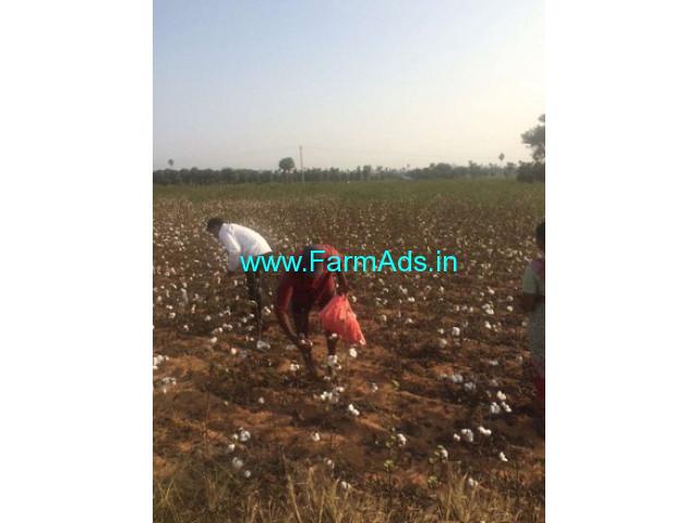 2.25 Acre Agriculture land for sale at Amangal