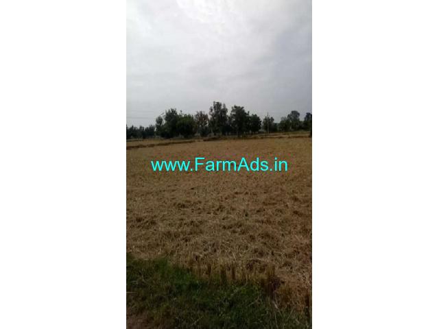 3.5 Acres Agriculture Land for Sale near Medak