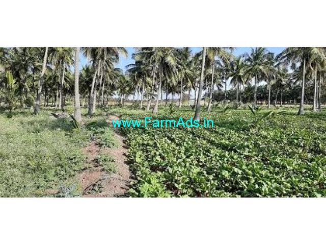 3.50 Acre Farm Land for Sale Near Udumalaipettai