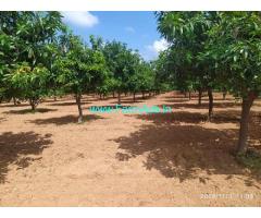 4 Acres Mango Garden for Sale near Yadadri,Warangal Highway