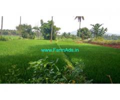 2.65 Acres Agriculture Land for Sale near Mandakalli airport