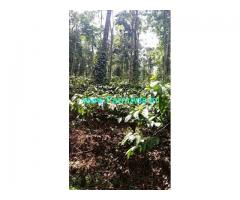 47 Acres Coffee Estate for Sale near Coorg