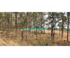 20 Acre Agriculture Land for Sale Near Salwad