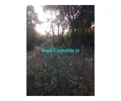 8 Acres Farm Land for Sale Near Chikmagalur
