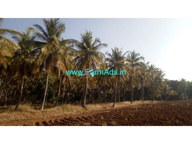 5 Acre Agriculture Land For Sale in Hiriyur