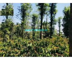 16 Acre Agricultural land for Sale Near Gudalur
