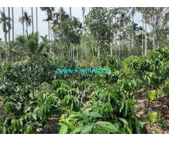 2 Acre Agriculture Land for Sale Near Meppadi