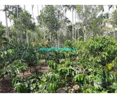 2 Acre Agriculture Land for Sale Near Meppadi