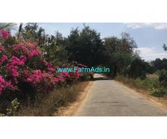 7 Acres 30 Guntas Farm land for Sale Near Gowribidanur