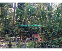 6 Acre Coffee Land for Sale Near Hassan