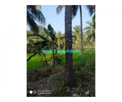 4 Acre Agriculture Land for Sale Near Pollachi