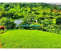 25 Acre Farm Land for Sale Near Velhe