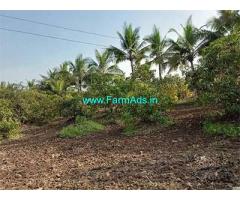 24 Gunta Farm Land for Sale Nagav Alibaug