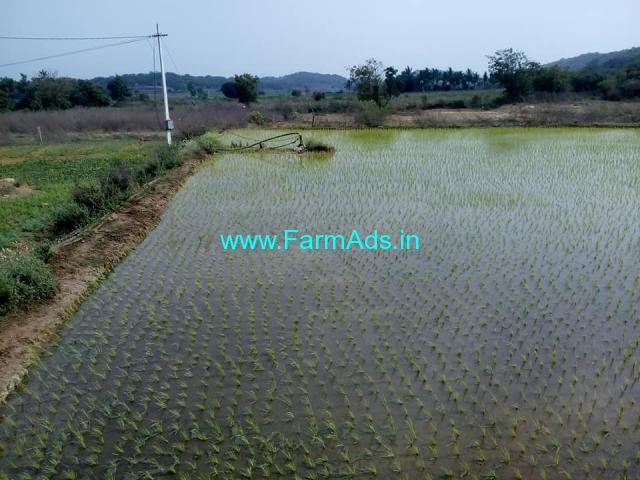 3 Acres Agriculture Land for Sale near Siddipet