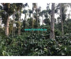 29 Acre Coffee Plantation for Sale Near Mudigere