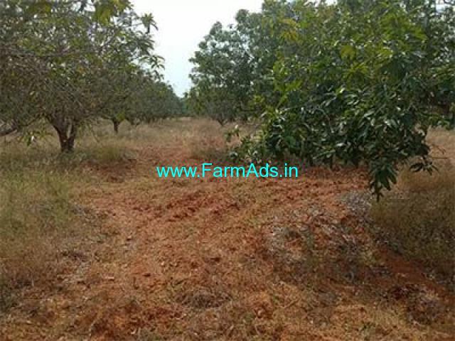 13 Acre Farm Land for Sale Near T.Sundupalli