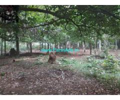4 Acre Farm Land for Sale Near Thrissur