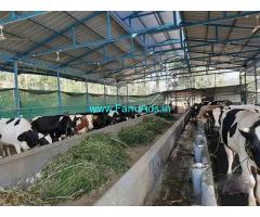 7 Acre Farm Land for Sale Near Kattikulam