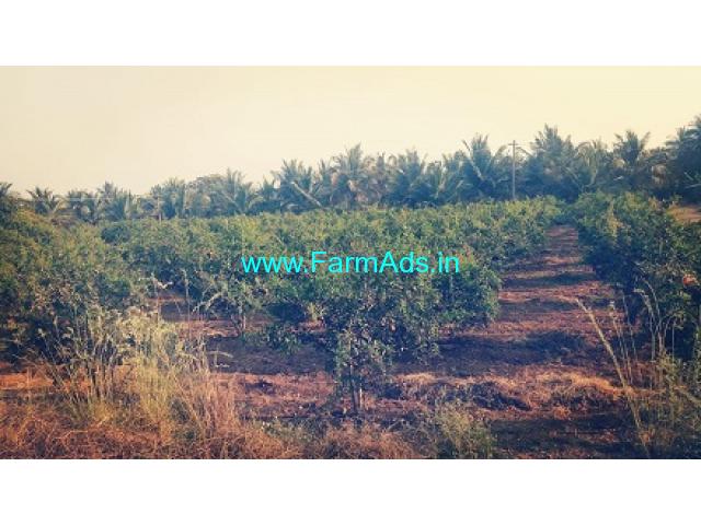 4.20 Acres Agriculture Land for Sale near Hiriyur