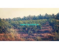 4.20 Acres Agriculture Land for Sale near Hiriyur
