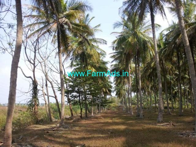 3.5 Acres Agriculture Land for Lease in Hullahalli