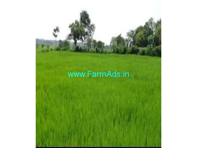 6 Acres Agriculture Farm Land for Sale near Raghavapuram