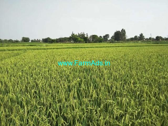 1 Acre Agriculture Land for sale Near Shivampet